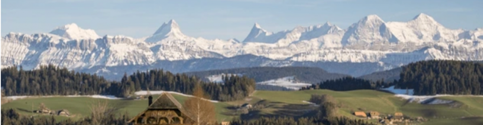 Groupe international Suisse