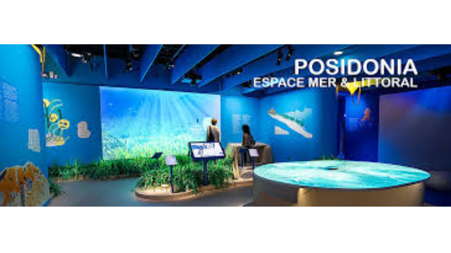 Déjeuner et visite de l'Espace Mer et Littoral / Posidonia
