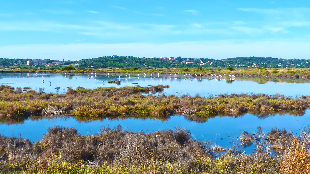 Sortie à Hyères : Salins d'Hyères, déjeuner et Visite de la Villa Noailles