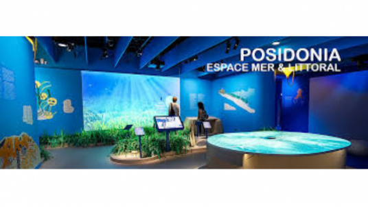 Déjeuner et visite de l'Espace Mer et Littoral / Posidonia