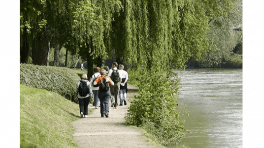 Balade dynamique en Bords de Marne